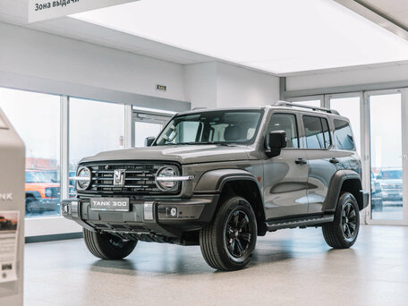 Tank 300 I