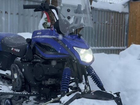 2020 Irbis Dingo, синий, 130000 рублей, вид 4