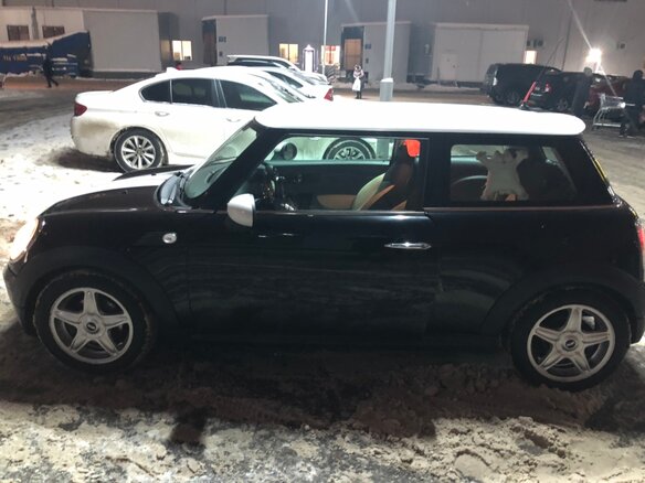 2009 Mini Hatch Cooper II (R56), чёрный - вид 3