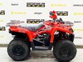 2025 Bison ATV200, красный - вид 5