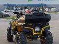 2021 Stels ATV-800 Guepard Trophy, жёлтый, 860000 рублей - вид 2