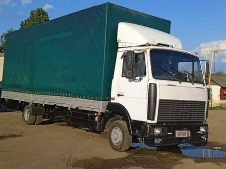 2005 МАЗ 4370, белый, 1175000 рублей, вид 1