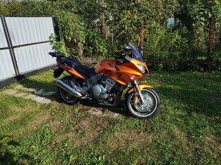 2007 Honda CBF 1000, золотистый, 526410 рублей, вид 5