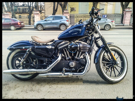 2011 Harley-Davidson Sportster 883, синий, 870000 рублей, вид 1