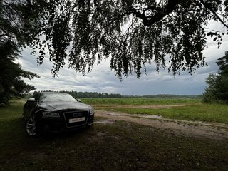 2009 Audi S5 I (8T), чёрный, 1499999 рублей, вид 4