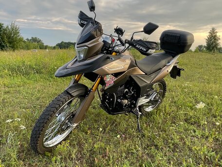 2020 Racer Ranger, коричневый, 133000 рублей, вид 2