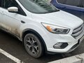 2017 Ford Kuga II Рестайлинг, белый, 1600000 рублей - вид 1