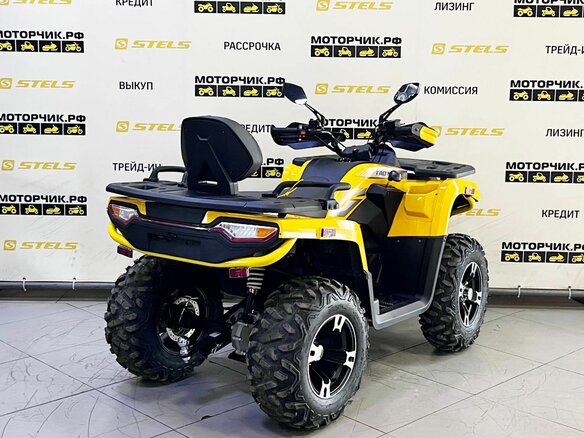 2025 Tao Motor Titan 300, жёлтый, 449000 рублей - вид 10