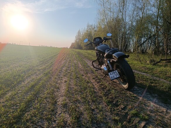 2008 Harley-Davidson Sportster 1200, чёрный - вид 2