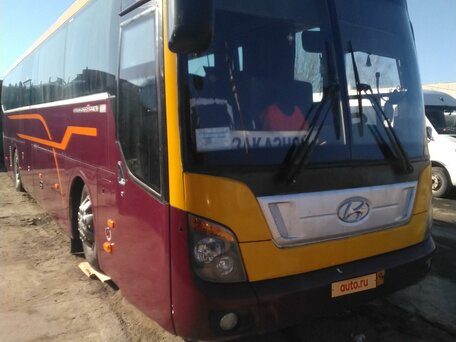 2011 Hyundai Universe, пурпурный, 2800000 рублей, вид 4