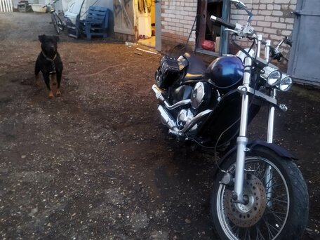 1995 Kawasaki VN400 Vulcan, синий, 270000 рублей, вид 1