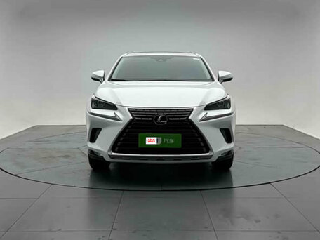 2021 Lexus NX 200 I Рестайлинг, белый, 3420000 рублей, вид 2