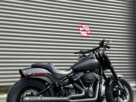 2019 Harley-Davidson Fat Bob, серый, 1537512 рублей, вид 5