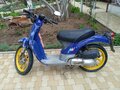 2005 Honda Via, фиолетовый, 40000 рублей