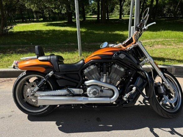 2014 Harley-Davidson V-Rod Muscle, золотистый, 1350000 рублей - вид 7
