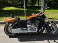 2014 Harley-Davidson V-Rod Muscle, золотистый, 1350000 рублей - вид 7