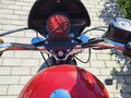 2019 Harley-Davidson Sportster 883, красный, 830000 рублей - вид 9