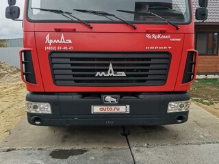 2019 МАЗ 4371, красный, 3200000 рублей, вид 4