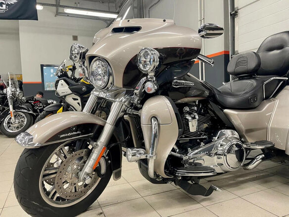 2017 Harley-Davidson Tri Glide, серый - вид 7