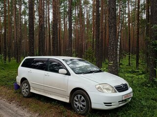 2002 Toyota Corolla Fielder IX (E120, E130), белый, 750000 рублей, вид 4