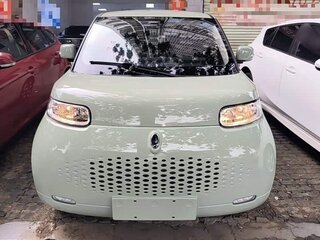 2022 Ora White Cat 29.4 kWh, зелёный, 998000 рублей, вид 2