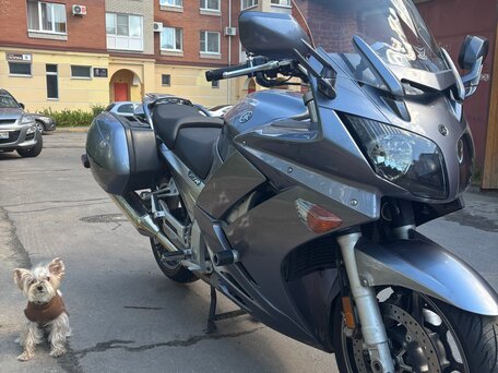2006 Yamaha FJR1300, серебристый, 650000 рублей, вид 5