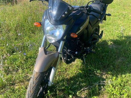 2024 Motoland Bandit 300, чёрный, 175000 рублей, вид 1