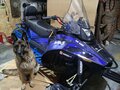 2023 Irbis Tungus, красный, 399000 рублей - вид 8