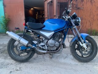 Suzuki Goose 350