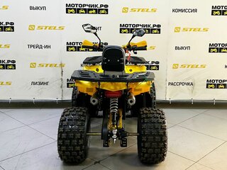 2025 Bison Miravel 125, жёлтый, 89900 рублей, вид 4