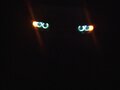 2000 BMW 5 серии 525d IV (E39) Рестайлинг, чёрный - вид 1