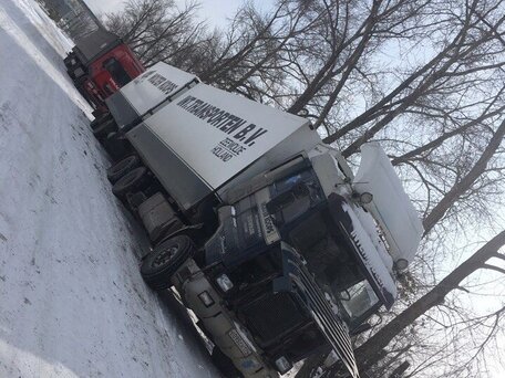 1993 Scania 3-Series, голубой, 1750000 рублей, вид 3
