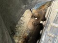 2008 Lada (ВАЗ) Priora I, серый, 430000 рублей - вид 6
