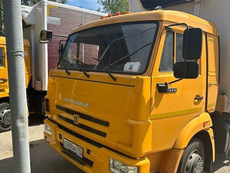 2023 КамАЗ 4308, жёлтый, 9100000 рублей, вид 2