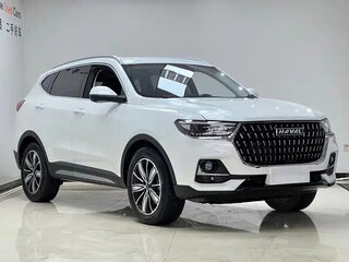 2023 Haval H6 III, белый, 1450000 рублей, вид 3