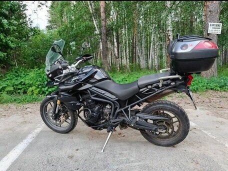 2011 Triumph Tiger 800, чёрный, 560000 рублей, вид 3