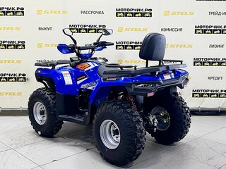 2025 Bashan Explorer 300, синий, 299000 рублей, вид 3