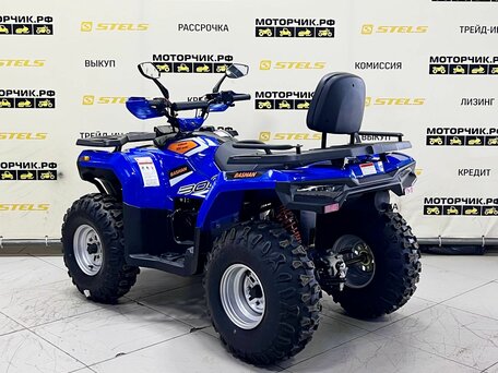 2025 Bashan Explorer 300, синий, 299000 рублей, вид 3