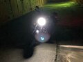 2007 Harley-Davidson V-Rod, чёрный - вид 9