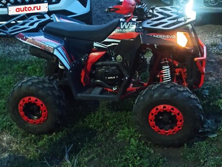 2023 Wels Thunder 125, красный, 100000 рублей, вид 5
