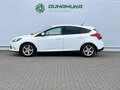 2012 Ford Focus III, белый, 770000 рублей - вид 7