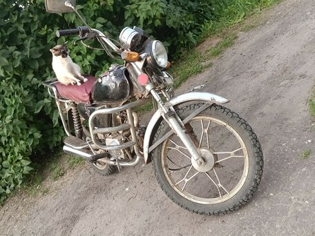 2013 Alfer VR 250, чёрный, 20000 рублей, вид 2