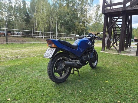 1990 Honda VT 250, синий, 170000 рублей, вид 5
