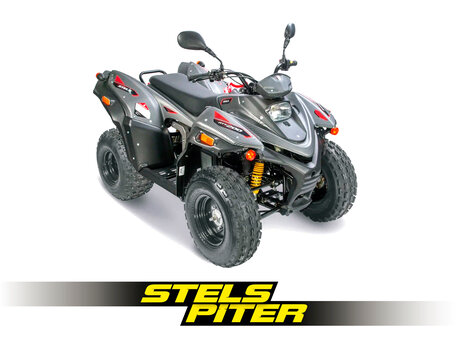 2026 Stels ATV-200 Леопард, серый, 260000 рублей, вид 1