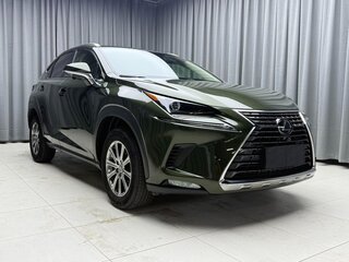 2020 Lexus NX 200 I Рестайлинг, зелёный, 2890000 рублей, вид 3