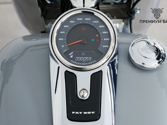 2025 Harley-Davidson Fat Boy, серый, 3199000 рублей - вид 11