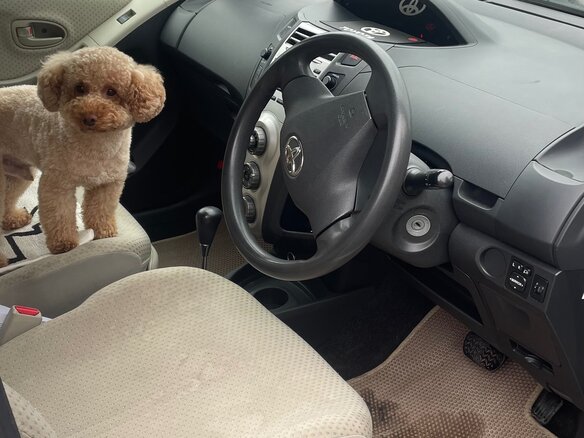 2006 Toyota Vitz II (XP90), белый, 520000 рублей - вид 6
