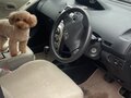 2006 Toyota Vitz II (XP90), белый, 520000 рублей - вид 6