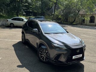 2022 Lexus NX 350h II, серый, 4800000 рублей, вид 5