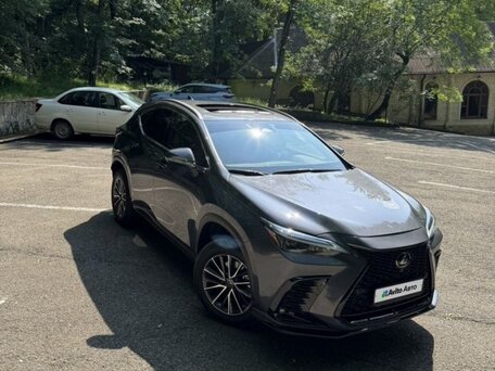 2022 Lexus NX 350h II, серый, 4800000 рублей, вид 5